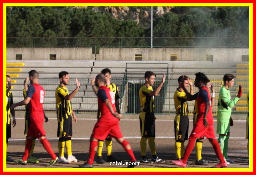 181111 Cepha_Milazzo 076_tn.JPG